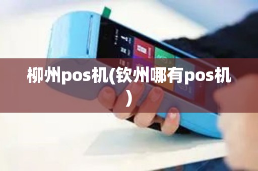 柳州pos机(钦州哪有pos机)