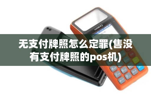 无支付牌照怎么定罪(售没有支付牌照的pos机)