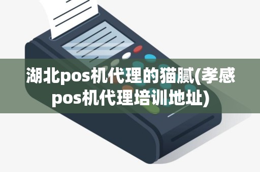 湖北pos机代理的猫腻(孝感pos机代理培训地址)