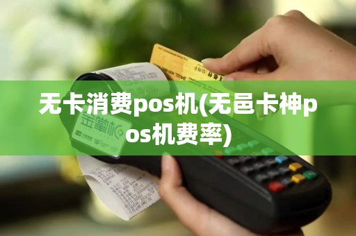 无卡消费pos机(无邑卡神pos机费率)
