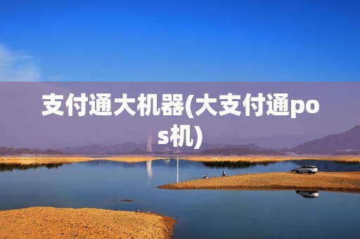 支付通大机器(大支付通pos机)