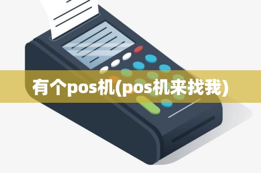 有个pos机(pos机来找我)