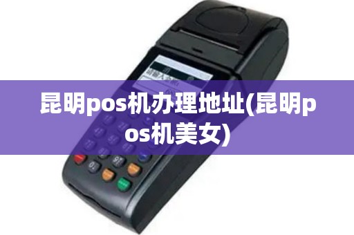 昆明pos机办理地址(昆明pos机美女)