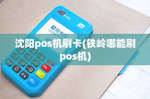 沈阳pos机刷卡(铁岭哪能刷pos机)