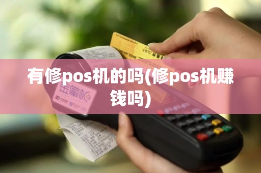 有修pos机的吗(修pos机赚钱吗)