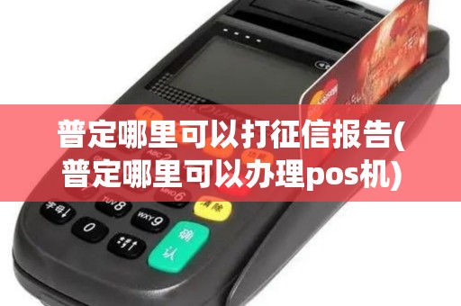 普定哪里可以打征信报告(普定哪里可以办理pos机)
