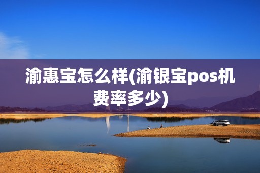 渝惠宝怎么样(渝银宝pos机费率多少)