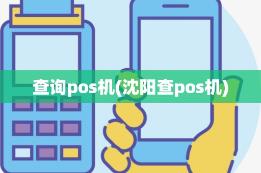 查询pos机(沈阳查pos机)