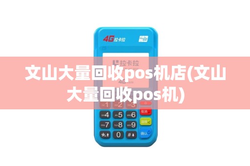 文山大量回收pos机店(文山大量回收pos机)