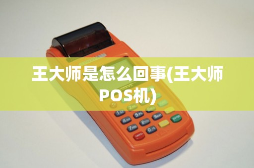 王大师是怎么回事(王大师POS机)