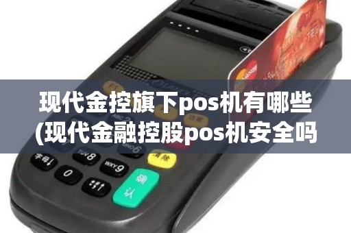现代金控旗下pos机有哪些(现代金融控股pos机安全吗)