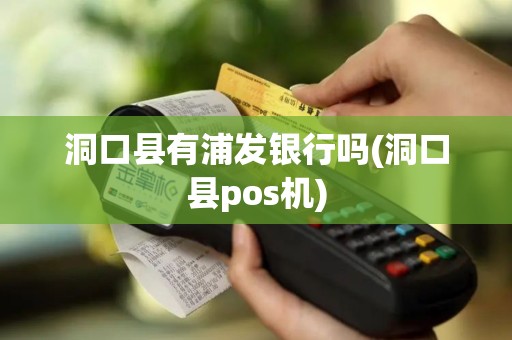 洞口县有浦发银行吗(洞口县pos机)