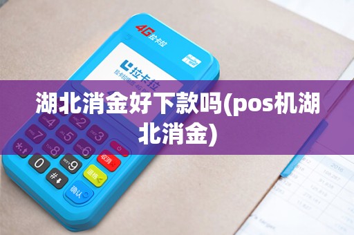 湖北消金好下款吗(pos机湖北消金)