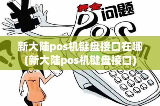 新大陆pos机键盘接口在哪(新大陆pos机键盘接口)