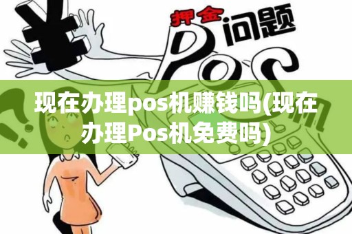 现在办理pos机赚钱吗(现在办理Pos机免费吗)