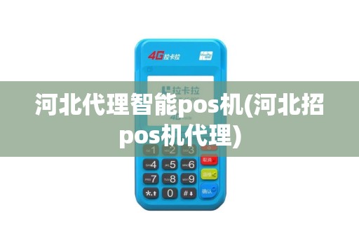 河北代理智能pos机(河北招pos机代理)