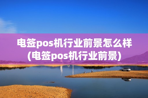 电签pos机行业前景怎么样(电签pos机行业前景)