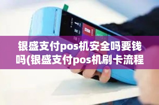 银盛支付pos机安全吗要钱吗(银盛支付pos机刷卡流程)