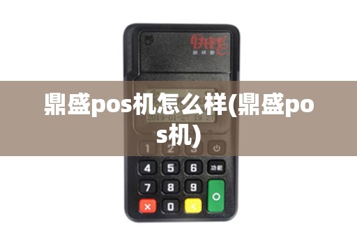 鼎盛pos机怎么样(鼎盛pos机)