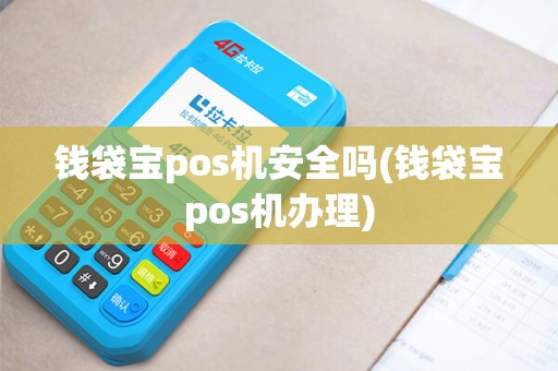 钱袋宝pos机安全吗(钱袋宝pos机办理)