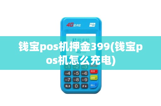 钱宝pos机押金399(钱宝pos机怎么充电)