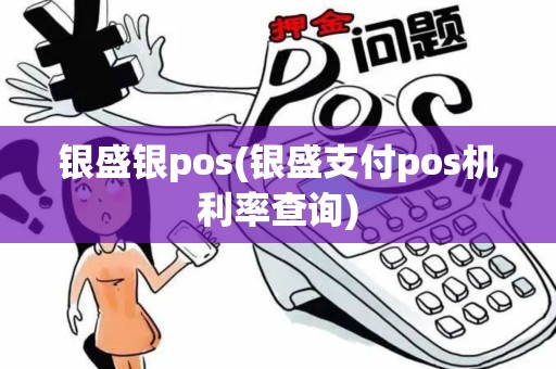 银盛银pos(银盛支付pos机利率查询)