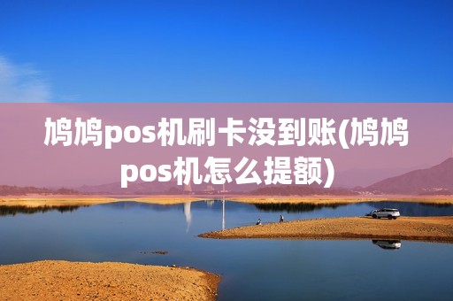 鸠鸠pos机刷卡没到账(鸠鸠pos机怎么提额)