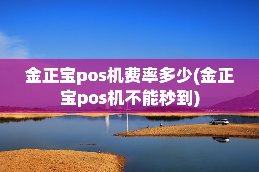 金正宝pos机费率多少(金正宝pos机不能秒到)