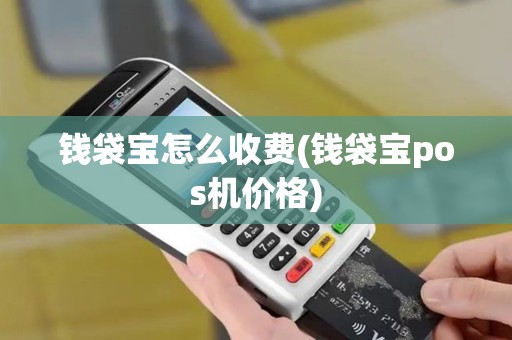 钱袋宝怎么收费(钱袋宝pos机价格)