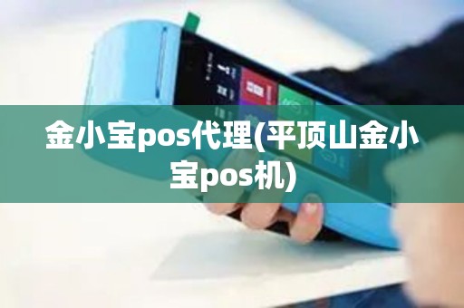 金小宝pos代理(平顶山金小宝pos机)
