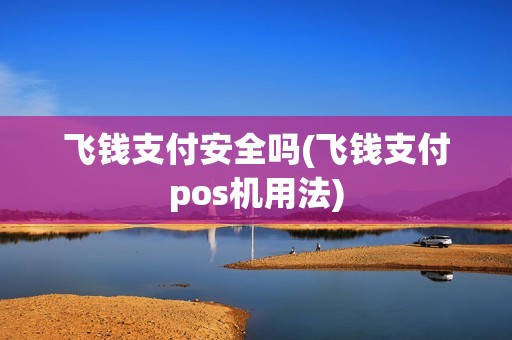 飞钱支付安全吗(飞钱支付pos机用法)