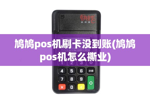 鸠鸠pos机刷卡没到账(鸠鸠pos机怎么撕业)