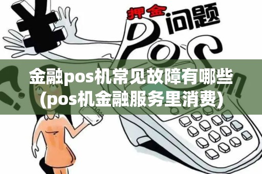 金融pos机常见故障有哪些(pos机金融服务里消费)