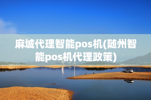 麻城代理智能pos机(随州智能pos机代理政策)