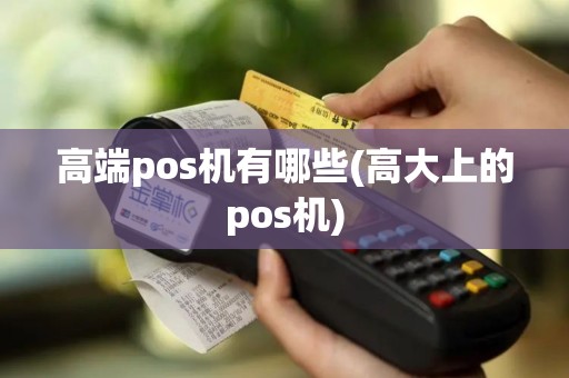 高端pos机有哪些(高大上的pos机)