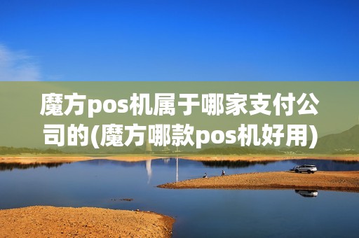 魔方pos机属于哪家支付公司的(魔方哪款pos机好用)