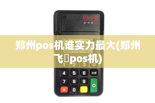 郑州pos机谁实力最大(郑州飞徳pos机)