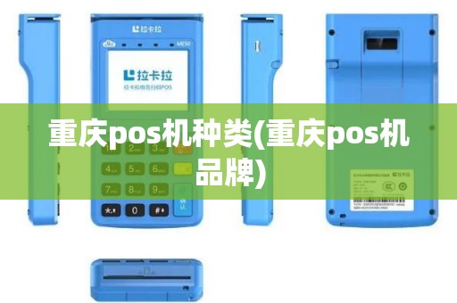 重庆pos机种类(重庆pos机品牌)