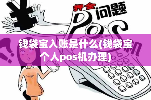 钱袋宝入账是什么(钱袋宝个人pos机办理)