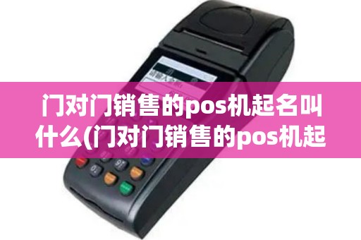 门对门销售的pos机起名叫什么(门对门销售的pos机起名)