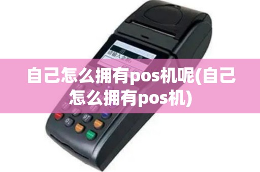 自己怎么拥有pos机呢(自己怎么拥有pos机)