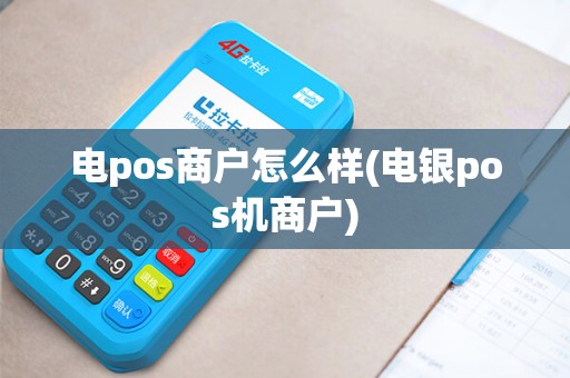 电pos商户怎么样(电银pos机商户)