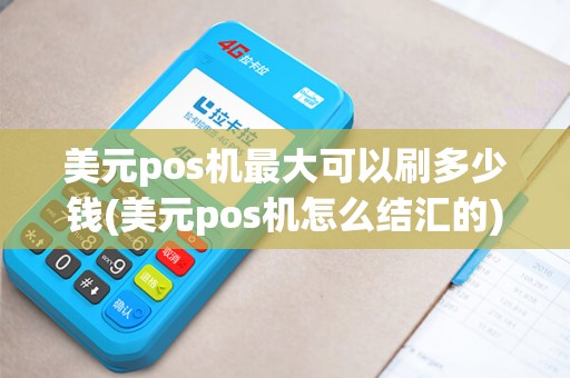 美元pos机最大可以刷多少钱(美元pos机怎么结汇的)