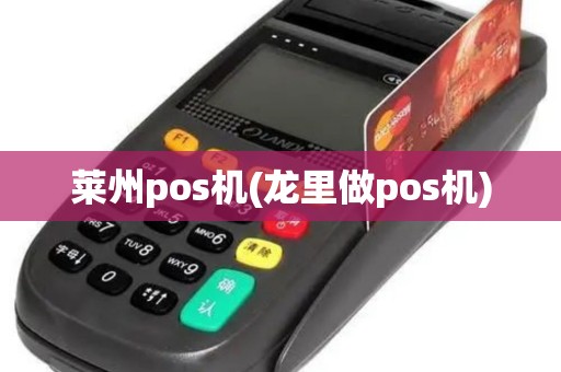 莱州pos机(龙里做pos机)