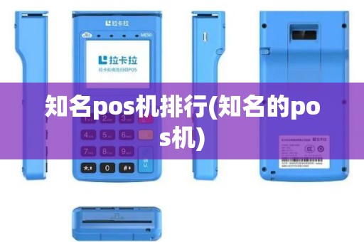 知名pos机排行(知名的pos机)