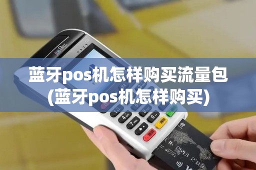 蓝牙pos机怎样购买流量包(蓝牙pos机怎样购买)