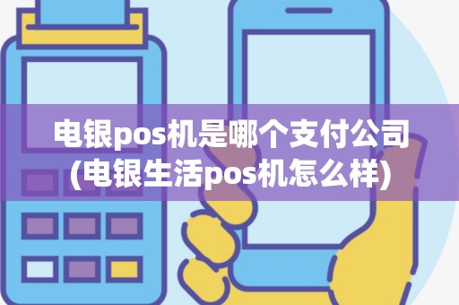 电银pos机是哪个支付公司(电银生活pos机怎么样)