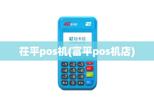 茌平pos机(富平pos机店)