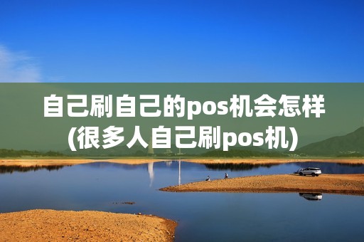 自己刷自己的pos机会怎样(很多人自己刷pos机)