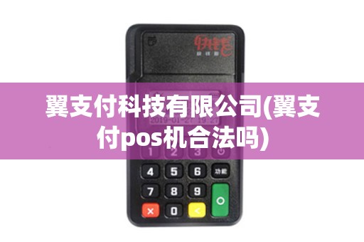 翼支付科技有限公司(翼支付pos机合法吗)